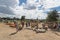 Wide variety of pumpkins decoration at local farm in Texas, Amer