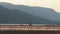 Wide view of flamingos on the shore of lake bogoria, kenya