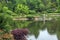 Wide view of a japanese garden
