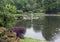Wide view of a japanese garden