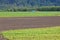 Wide View of Liquid Manure Spreader