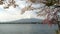 wide view of mt fuji and lake kawaguchiko with cherry trees in blossom