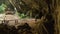 Wide view panning left, visitors to a temple cave