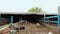 Wide view of Pig farm, many pigs near the fence