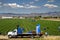 Wide view of strawberries being harvested in Irvine CA