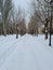 A wide winter road in the park. Snow-covered empty street