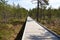 Wide wooden walkway on Viru Raba bog in Estonia going between trees of pines