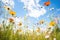 wideangle shot of diverse wildflowers with blue sky