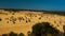 A wider angled view of The Pinnacles limestone rocks, Western Australia