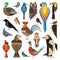 Widespread Common Birds Geometric Set in Flat