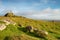 Widgery Cross on Dartmoor