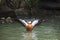 Widl duck swimming with happiness in water pool