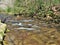 Widow`s Creek at Stone Mountain State Park