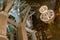 Wieliczka Salt Mine underground wooden balk structure with chandelier made from salt, Krakow, Poland, tourist landmark