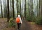 Wielki Lubon, Poland : Unidentified People hiking or trek towards lubon Wielki mountain through forest or woods with tall trees