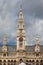 Wiener Rathaus City Hall Towers In Vienna