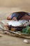 Wierd burger with vanilla ice cream and chocolated confetti on wooden background.