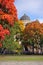 Wiew of cathedral building beyond autumn trees