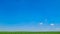 wiew of green and yellow field.A field of rapeseed with windmill in Deliblato sands,Vojvodina,Srbija