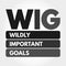 WIG - Wildly Important Goals acronym