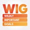 WIG - Wildly Important Goals acronym