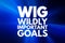 WIG - Wildly Important Goals acronym, business concept background