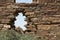 Wijiji - Archeological Site at Chaco Culture Historical Park