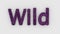 Wild - 3d word purple on white background. render furry letters. hair. wilds fur. emblem logo design template. wild animals,