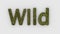 Wild - 3d word yellow on white background. render furry letters. hair. wilds fur. emblem logo design template. wild animals,