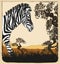 Wild africa card with zebra