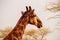 Wild african animals. Closeup  South African giraffe or Cape giraffe