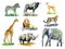 Wild African animals collection, zebra, Wildebeest, Oribi antelope, girafe, lion, rhinoceros, cheetah, elephant, hand painted