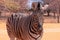 Wild african animals. Zebra close up portrait