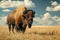 Wild American bison bull standing in grassy prairie