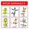 wild animal chart