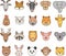 Wild Animal Faces Clipart