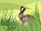 Wild animal. A hare is sitting in the grass. In minimalist style. Cartoon flat