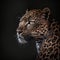 Wild Animal Leopard Portrait. Illustration Generative AI