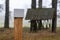 Wild animal lick on a pasture background. Feeding place for animals in the forest