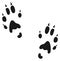 Wild animal paws logo. Marten feet track