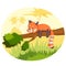 Wild animal Red Panda in jungle forest background