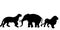 Wild animal's silhouette with dangerous animals like tiger, lion