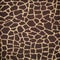 Wild animal skin