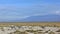 Wild animals in Amboseli Park, Kenya. Two adult zebras and a baby are running along the savannah.