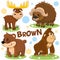 Wild animals are brown.