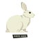 Wild animals collection White hare Geometric style