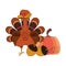 Wild animals and elements thanksgiving day and autumn season