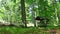 Wild animals feeder in slovak forest pan video.