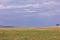 Wild animals Grazing Under The Lone Tree in the Maasai Mara National Reserve Narok County in Kenya.