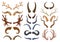 Wild animals horns antlers, reindeer, bull, goat. Hunting trophy deer, ibex, sheep and moose horns isolated vector